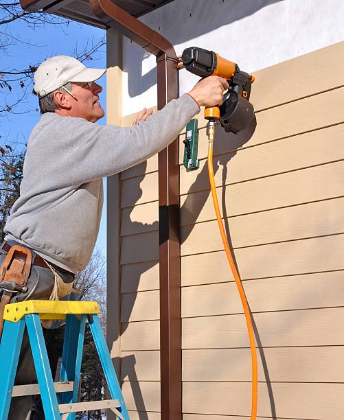 Best Stone Veneer Siding  in Mclouth, KS